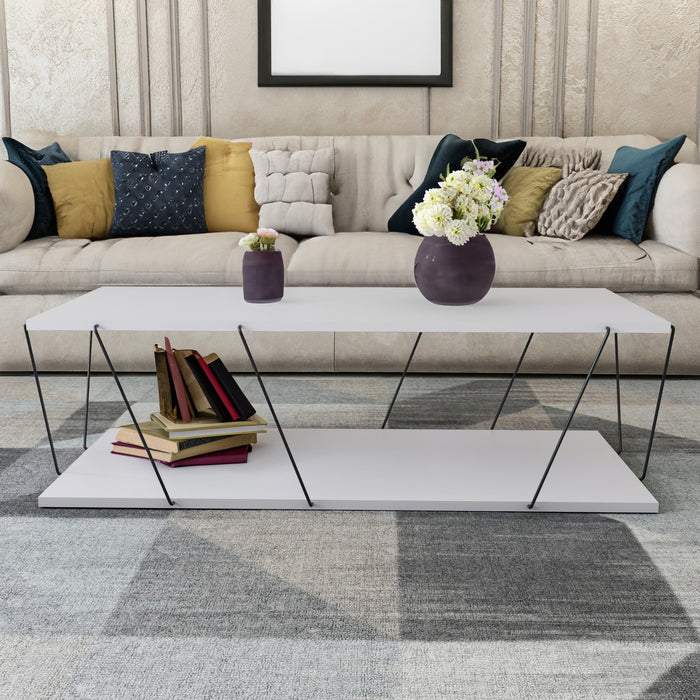 Nancy Metal Frame Rectangle Coffee Table