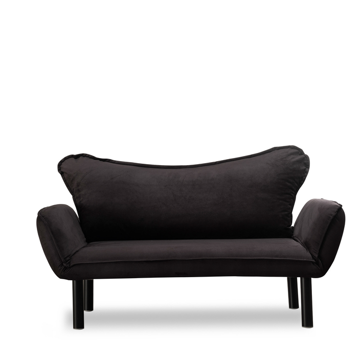 Metal Frame 2-Seat Sleeper Sofa With Multi-Position Arms