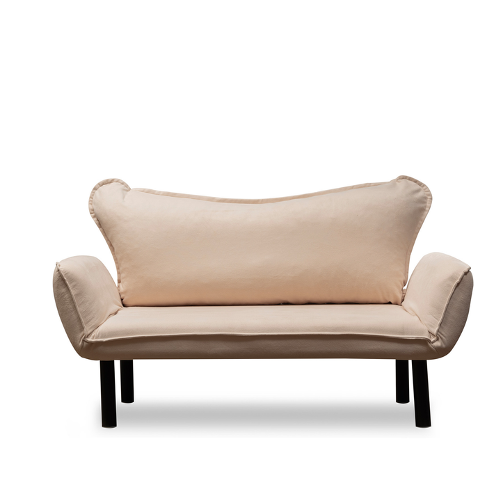 Metal Frame 2-Seat Sleeper Sofa With Multi-Position Arms