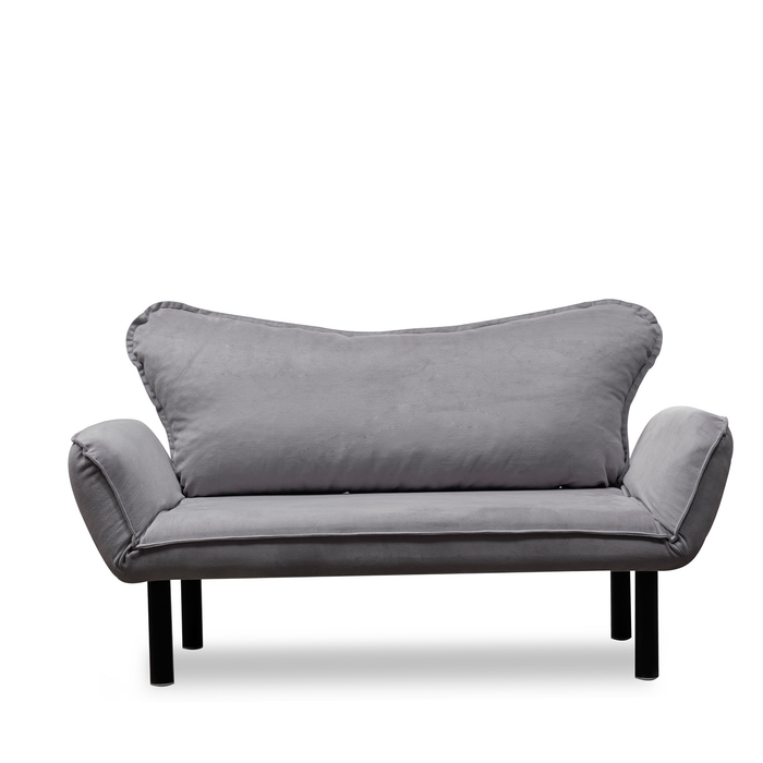 Metal Frame 2-Seat Sleeper Sofa With Multi-Position Arms